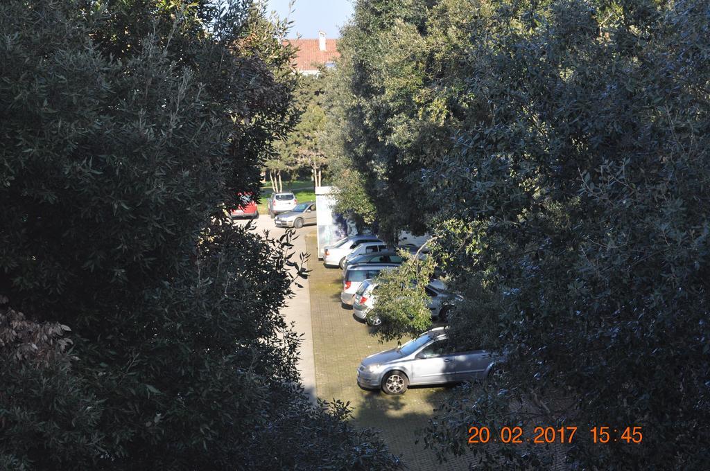Appartement Dragica 2 *